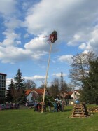 IMG_8651.jpg