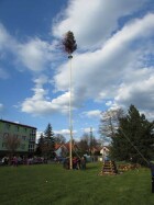 IMG_8653.jpg
