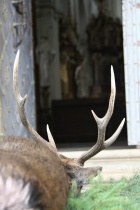 IMG_0823.jpg