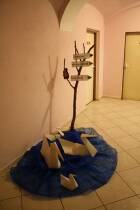 IMG_2642.jpg