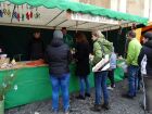DSC07559.JPG