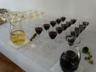 DSC04235.jpg