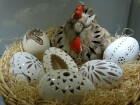 DSC07465.JPG